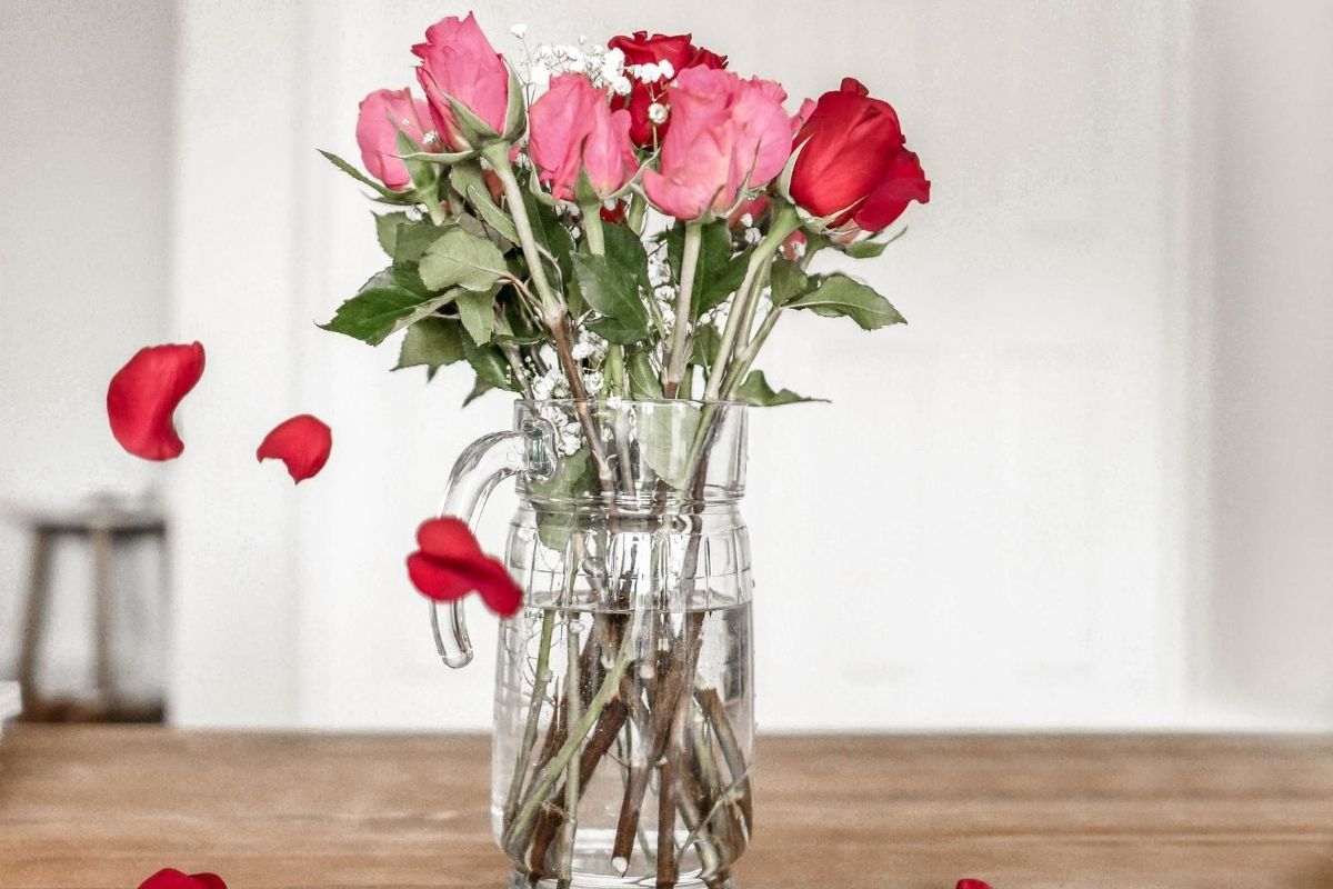 how to Keep Roses fresh longer