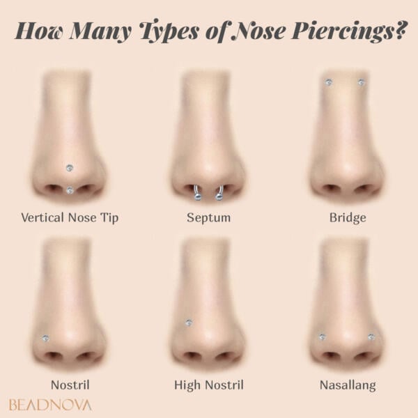 nose Piercings - one type of body piercings