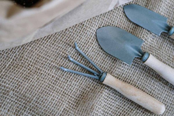 clean garden tools