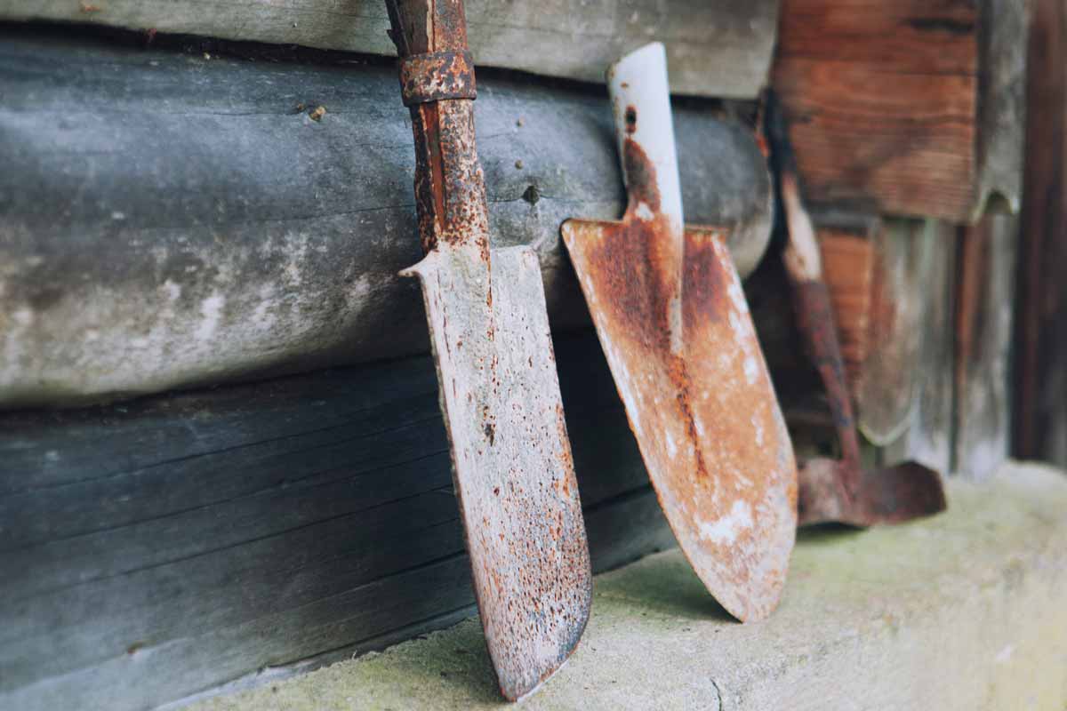 How to Clean and Remove Rust from Garden Tools