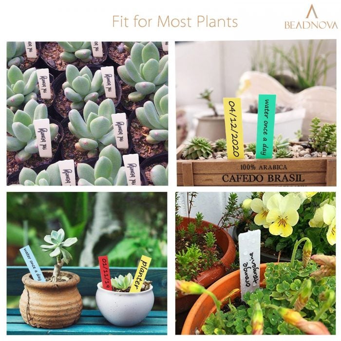 Garden-Tags-Plant-Markers-Plant-Tags-Mix-Colors-300-Pcs