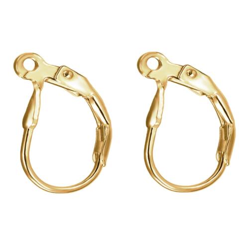 BEADNOVA 14k Gold Filled Leverback Earring Hooks 4pcs French Ear Wire Lever Back Earwire for Jewelry Making Crafting