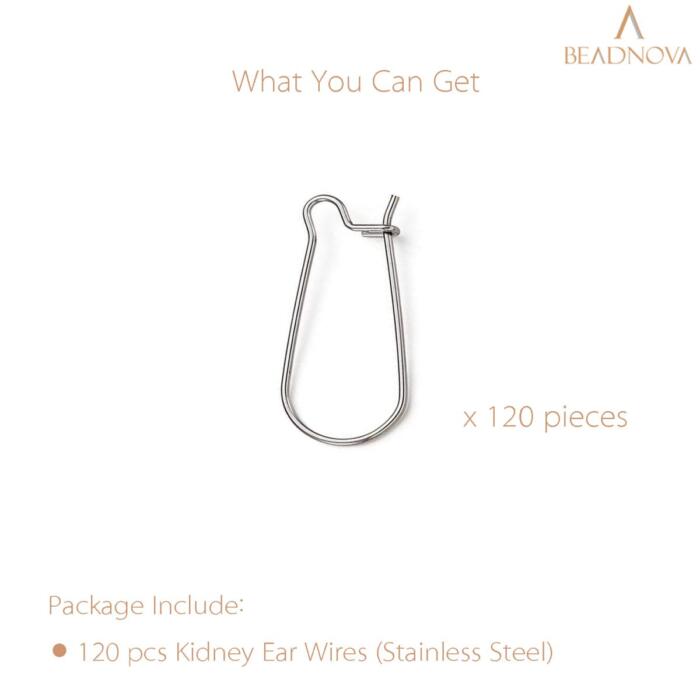 BEADNOVA Kidney Earring Hook 120pcs Stainless Steel Kidney Ear Wires Earring Hook for Jewelry Making Earring DIY Making (20mm, 120pcs)