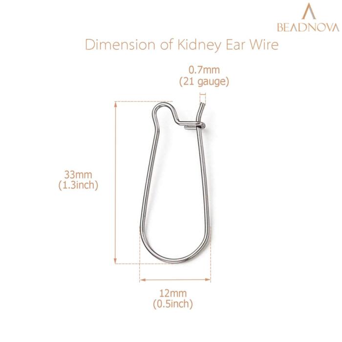 BEADNOVA Ear Wire Hooks 60pcs Stainless Steel Kidney Earring Hook Wire Earring Findings for Earring Making Jewelry Making Earring DIY (33mm, 60pcs)