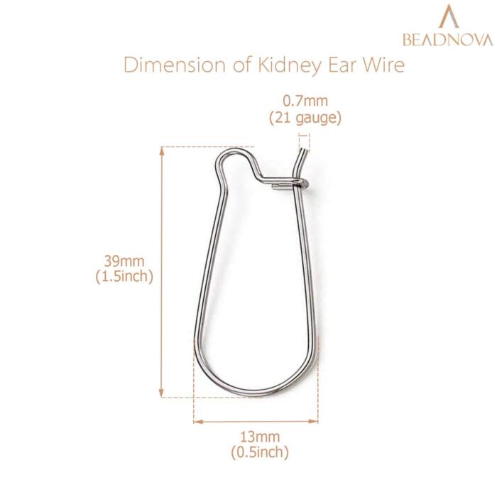 BEADNOVA Kidney Earring Hook 120pcs Stainless Steel Kidney Ear Wires Earring Hook for Jewelry Making Earring DIY Making (39mm, 120pcs)