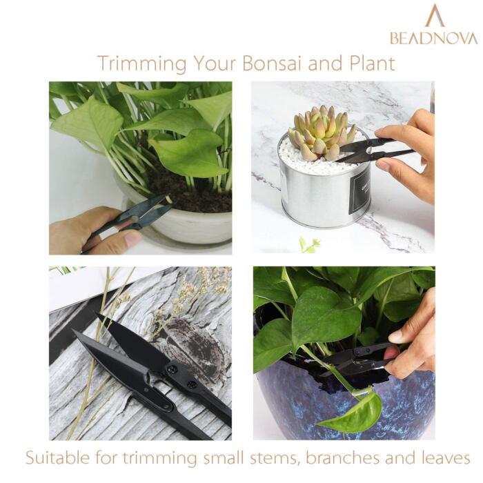 BEADNOVA Bonsai Scissors Pruning Scissors Bonsai Shears Leaves Trimmer for Plant Leaves Gardening Bonsai (6 Pcs)