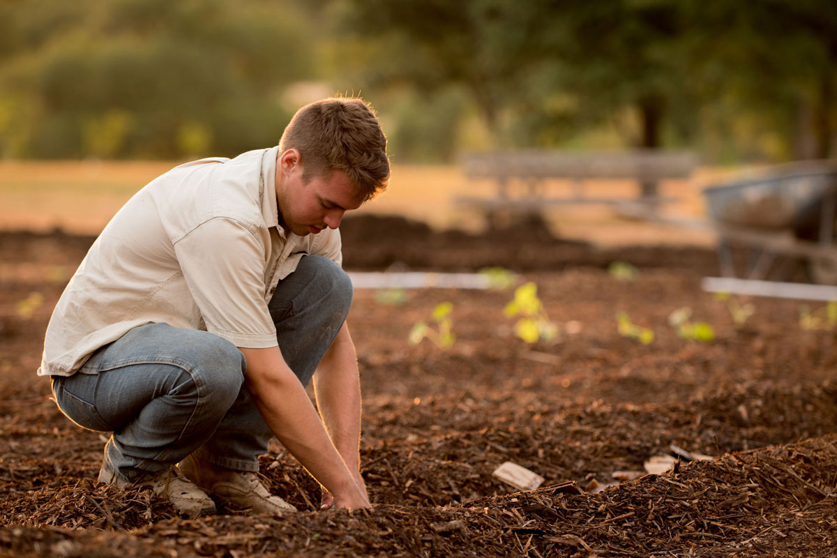 Essential Drip Irrigation Systems tools