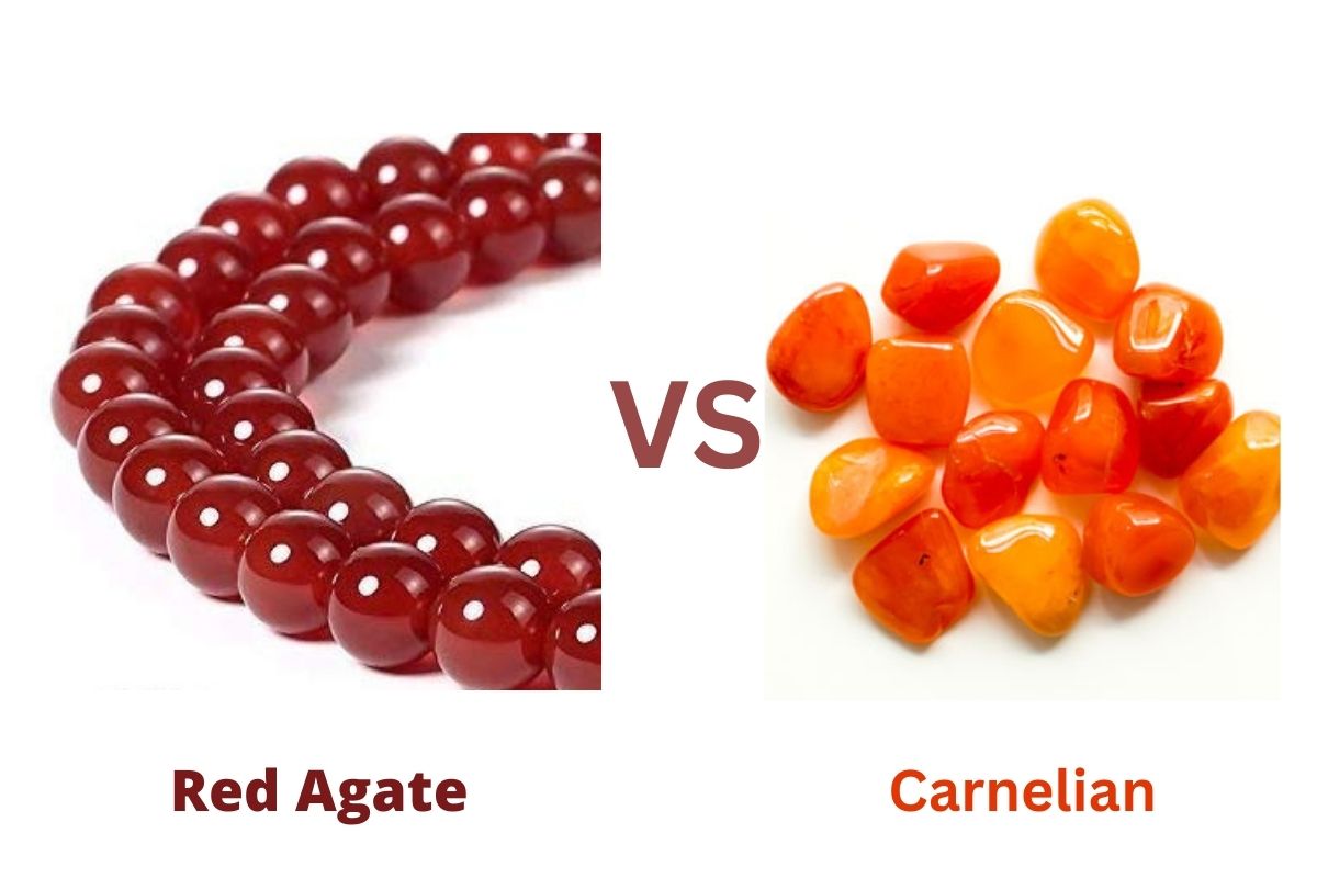 Måned klart Selvrespekt Red Agate Vs. Carnelian: What's The Difference? - Beadnova