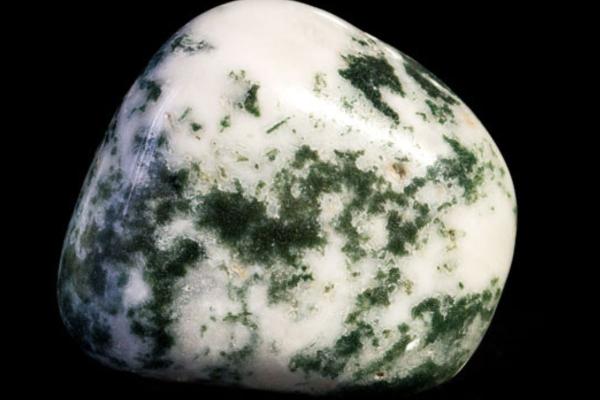 tree agate