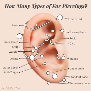 ear piercing chart ear piercing types