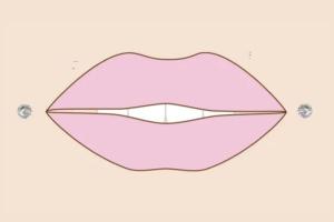 Dehlia Piercing - lip piercing types