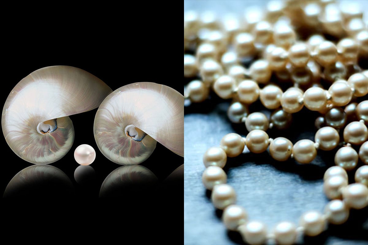 Mother of Pearl vs Pearl