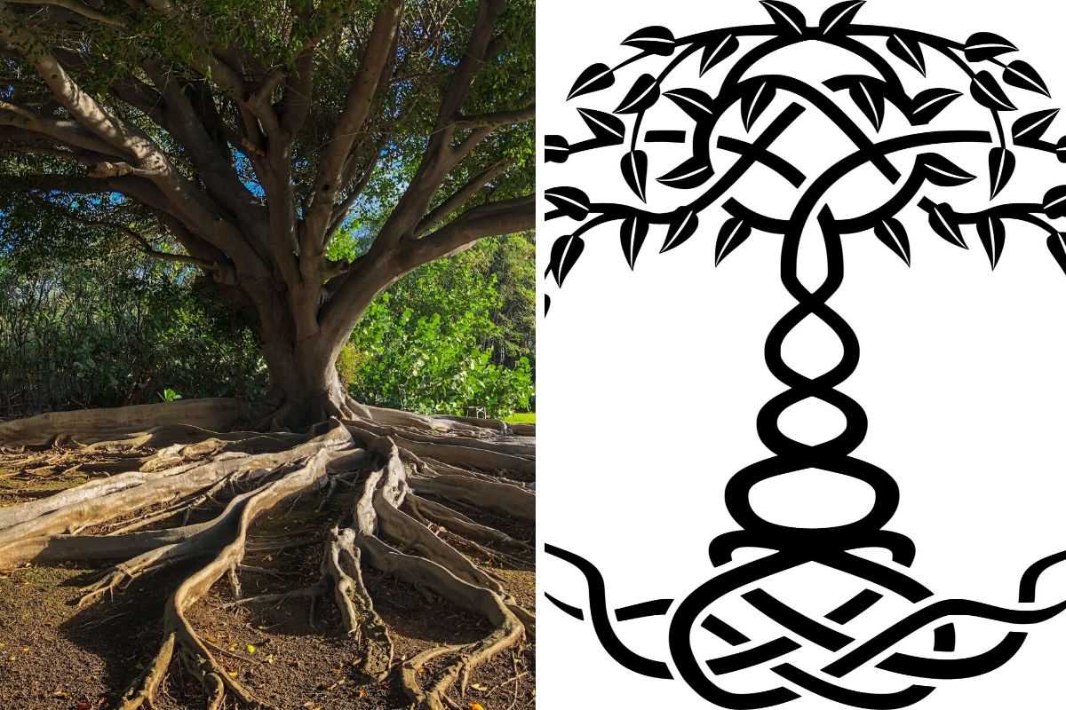 Tree-of-Life-Symbol