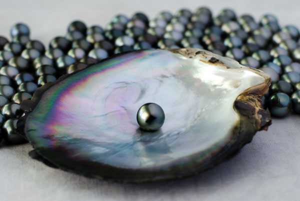 Tahitian black pearl