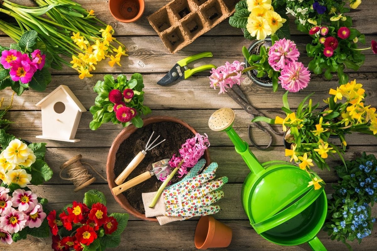 Essential-Gardening-Tools-