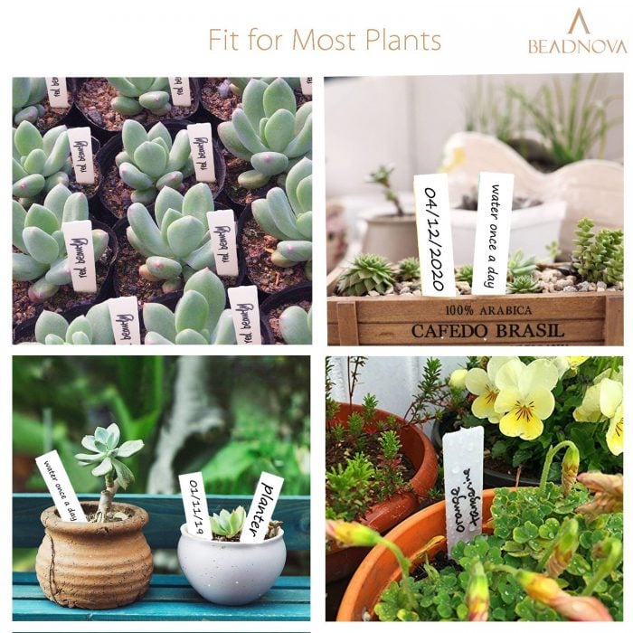 Plant-Labels-Plant-Tags-Garden-Labels-White-100-Pcs