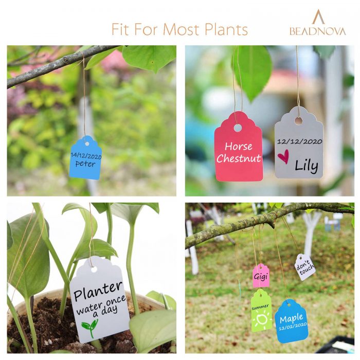 50pcs Plant Hang Labels Seedlings Markers Garden Tag Notice Plate Bonsai 48*20mm 