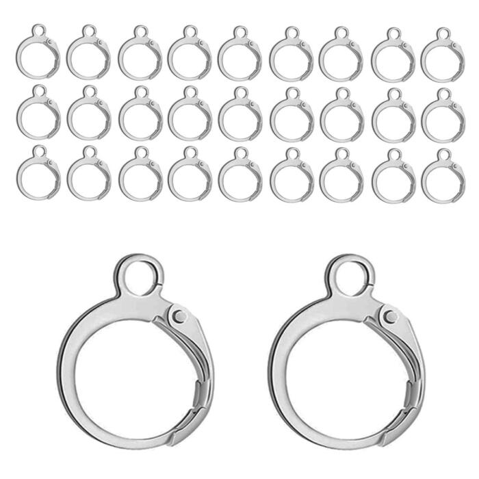BEADNOVA Stainless Steel Leverback Earring Hooks 100pcs French Ear Wire Lever Back Earwire for Jewelry Making Crafting