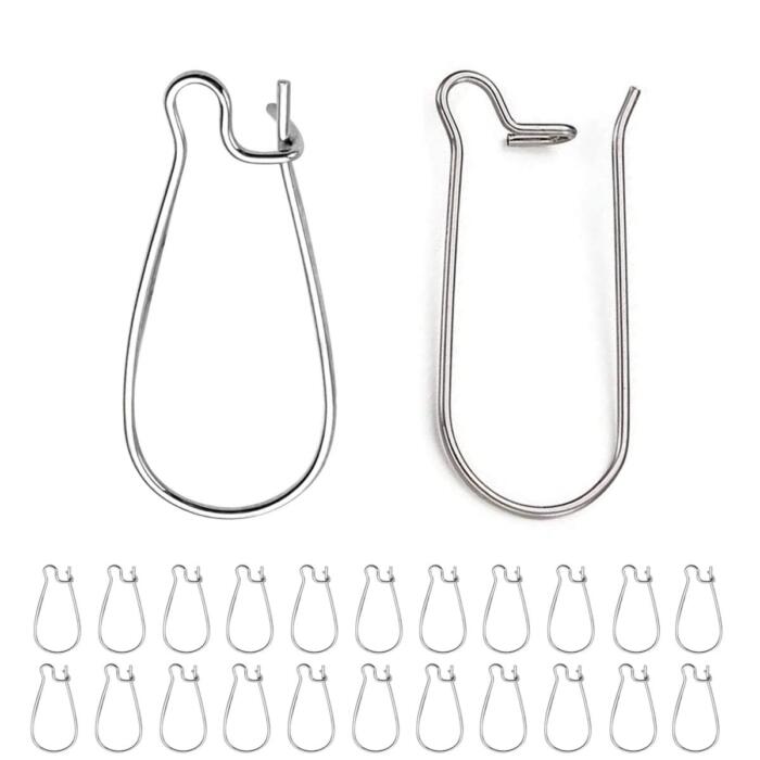 BEADNOVA Ear Wire Hooks 60pcs Stainless Steel Kidney Earring Hook Wire Earring Findings for Earring Making Jewelry Making Earring DIY (20mm, 60pcs)