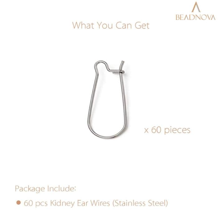 BEADNOVA Ear Wire Hooks 60pcs Stainless Steel Kidney Earring Hook Wire Earring Findings for Earring Making Jewelry Making Earring DIY (20mm, 60pcs)