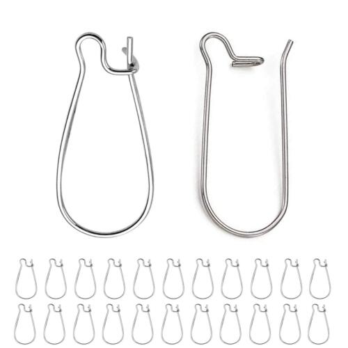 BEADNOVA Kidney Earring Hook 120pcs Stainless Steel Kidney Ear Wires Earring Hook for Jewelry Making Earring DIY Making (20mm, 120pcs)