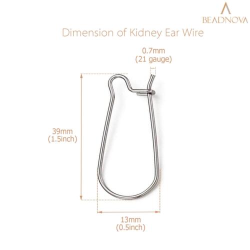 BEADNOVA Ear Wire Hooks 60pcs Stainless Steel Kidney Earring Hook Wire Earring Findings for Earring Making Jewelry Making Earring DIY (39mm, 60pcs)
