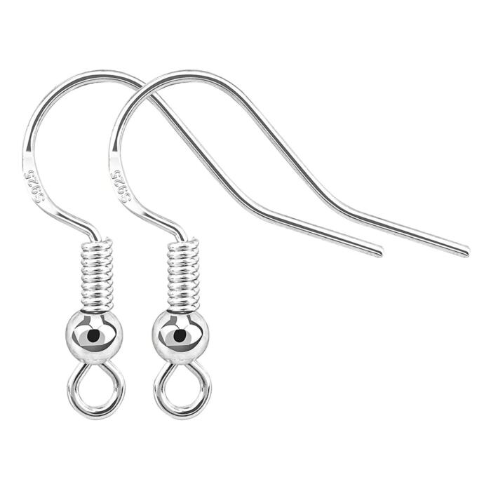 BEADNOVA 925 Sterling Silver Earring Hooks 12pcs Earring Findings Kits with Earring Backs Fish Hook Earrings for Jewelry Making DIY Earrings Supplies (12pcs Earring Hooks and 12pcs Earring Backs)