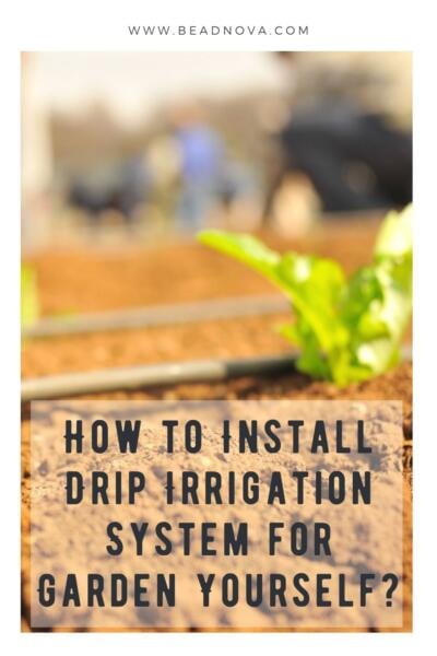 Install-Drip-Irrigation-System