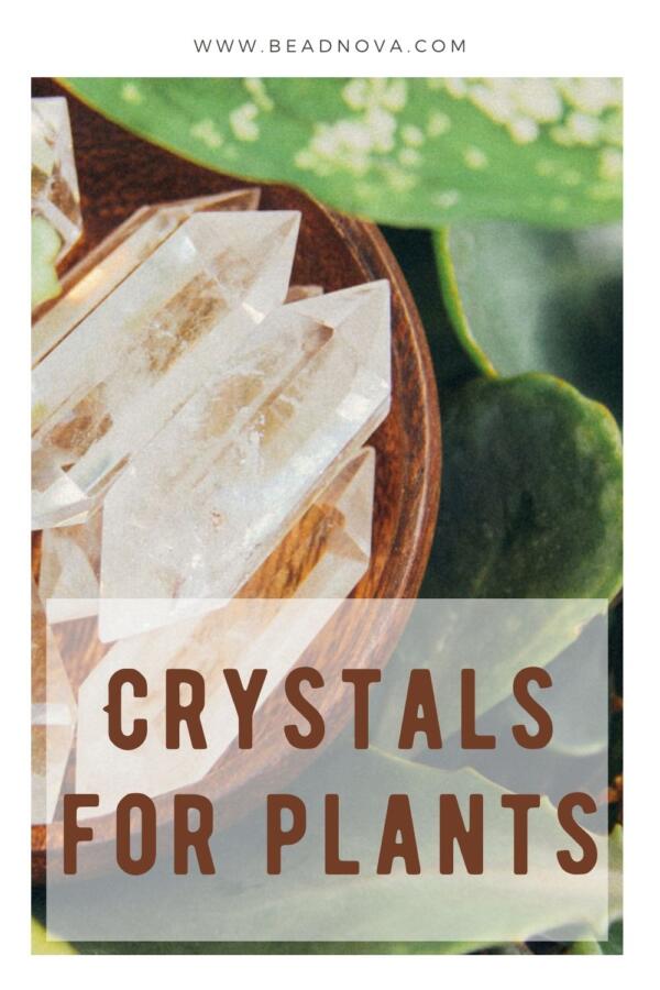 crystals for plants-1