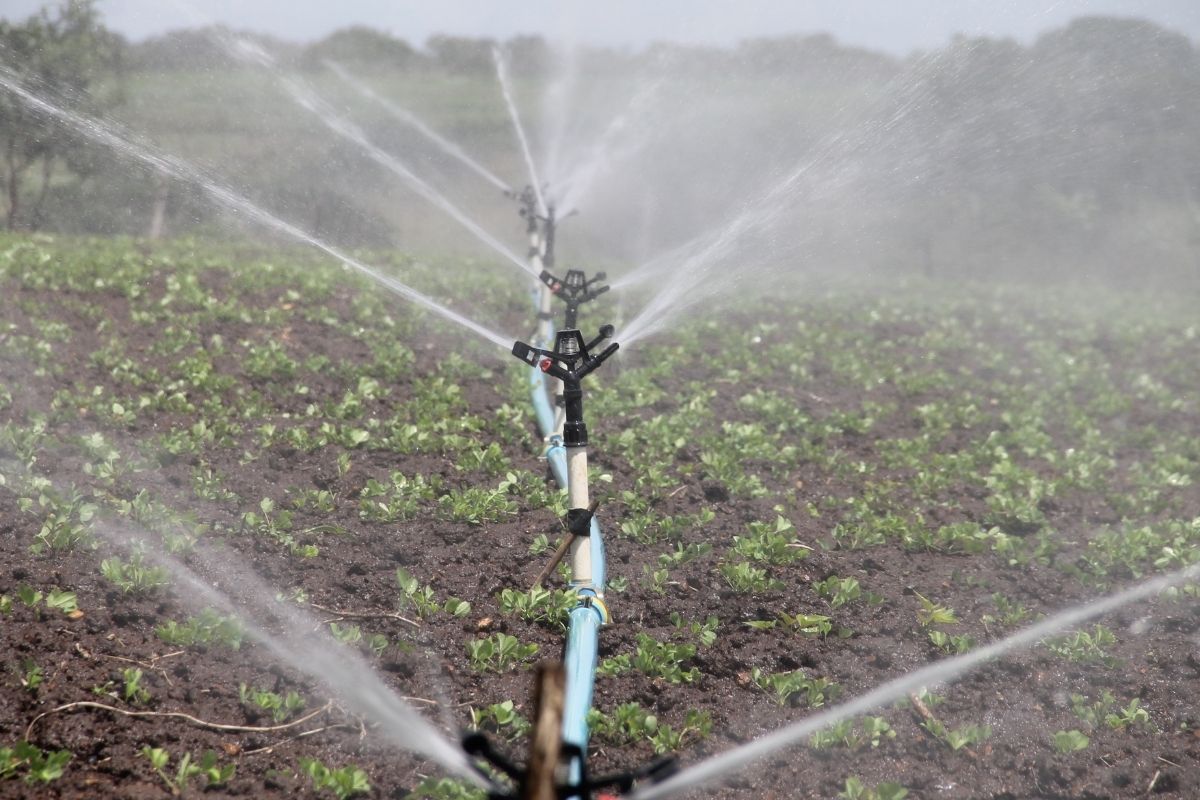 -make-a-drip-irrigation-system