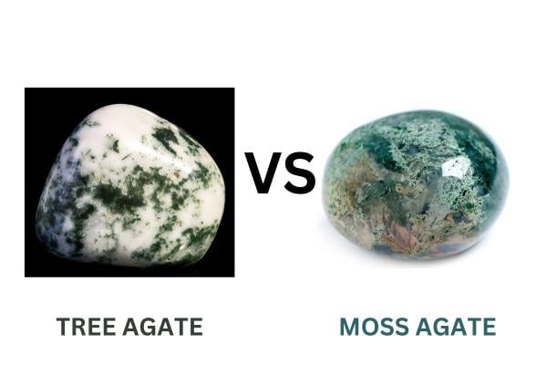 TREE AGATE VS MOSS AGATE